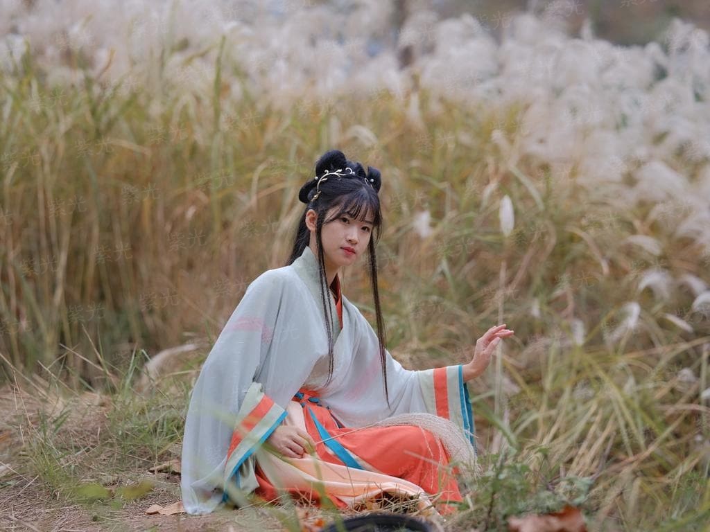 前妻难追